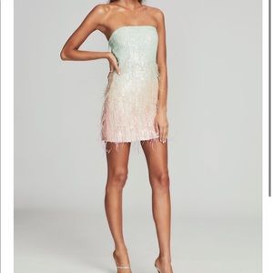 Retrofete Anastasia Dress in Feather